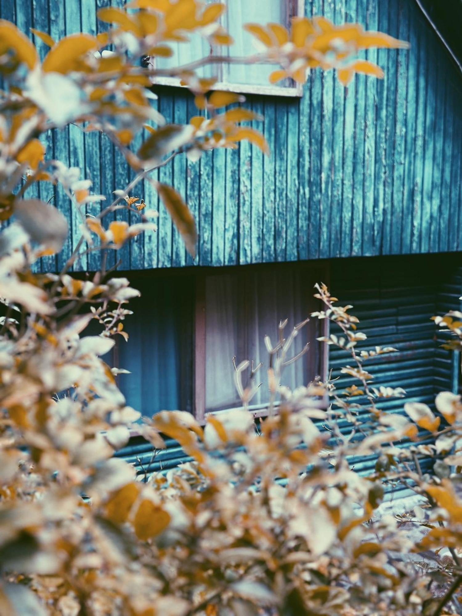 Nunisi Forest Hotel & Spa ภายนอก รูปภาพ